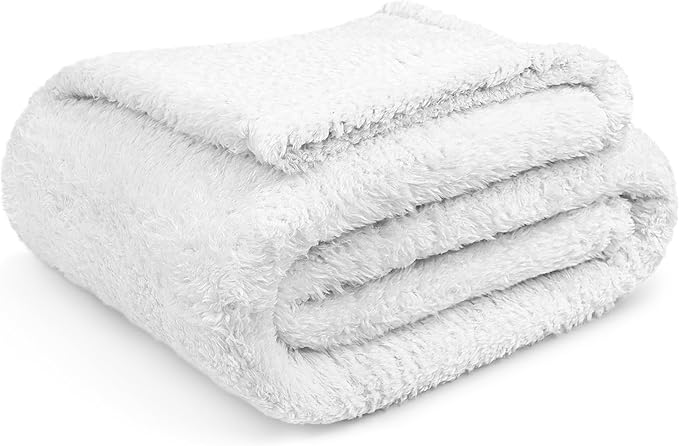 PAVILIA Sherpa Throw Blanket for Couch Sofa, White Fluffy Warm Plush Blanket for Twin Bed, Cozy Super Soft Lightweight Throw, Fuzzy Decorative Blanket, All Season Home, 60x80