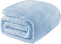 Exclusivo Mezcla King Blanket for Bed, Cozy Lightweight Fleece Blankets for All Season, Decorative Giftable Fuzzy Plush Wave Textured Suitable for Women, Men, Light Blue, 90x104 Inches