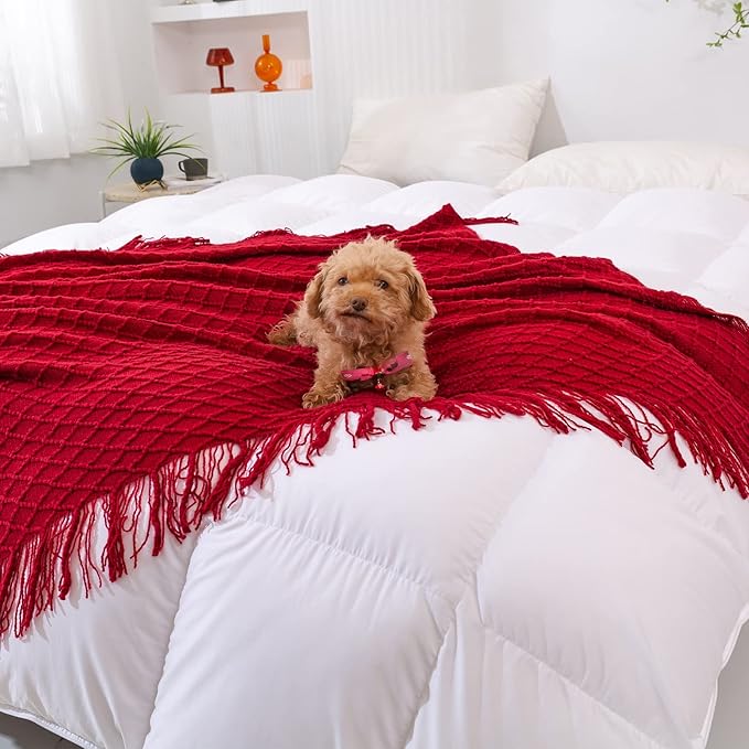 Throw Blanket for Couch,Soft Cozy Knit Blanket,Lightweight Decorative Throw for Sofa Chair Bed Travel and Living Room-All Seasons Suitable for Women,Men and Kids (Red, 50"x60")
