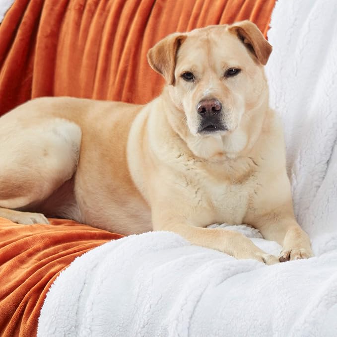 Genteele Sherpa Throw Blanket Super Soft Reversible Ultra Luxurious Plush Blanket, 102 x 90 inches, Burnt Orange/White