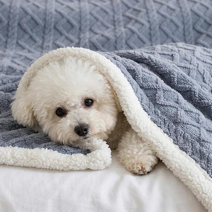 Sherpa Blanket for Bed Full Size - Fleece Soft Cozy Fuzzy Blankets Thick Warm for Winter and All Seasons (Light Grey, Full(80"x90"))