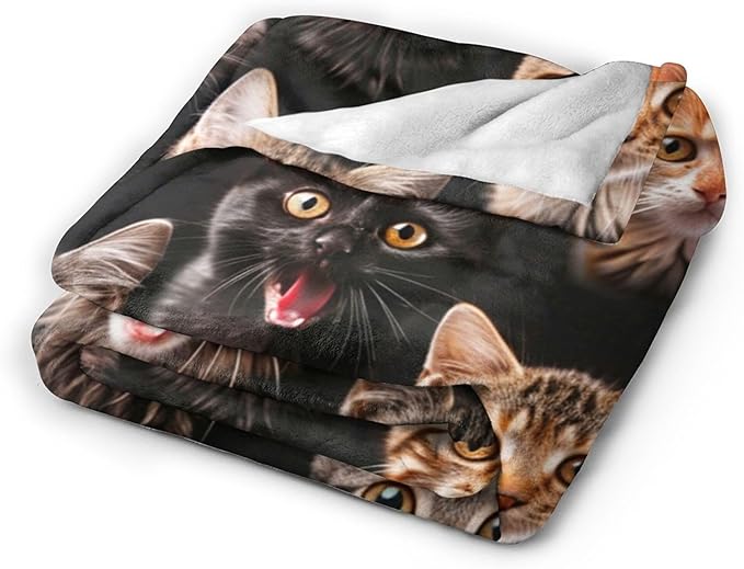 Cats Blanket Cat Throw Blanket Cat Gifts and Decor Cats Blanket for Girls Boys Women Men Kids Adults Soft Warm Cozy Fleece Blanket for Couch Sofa Bed 60"x50"