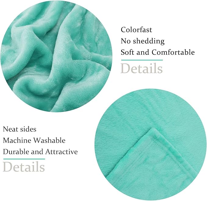 NANPIPER Fleece Blankets Super Soft Flannel Queen Size Blanket for Bed Luxury Cozy Microfiber Plush Fuzzy Blanket,Lake Blue