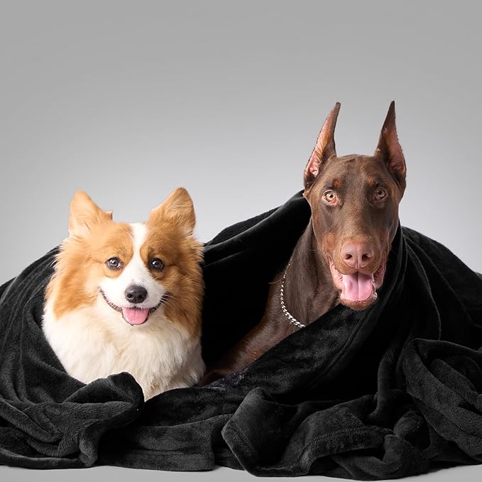 Hansleep Fleece Black King Blanket, Super Soft Flannel Fuzzy Plush Cozy Blanket for All Seasons, Black, King 90x108 Inches