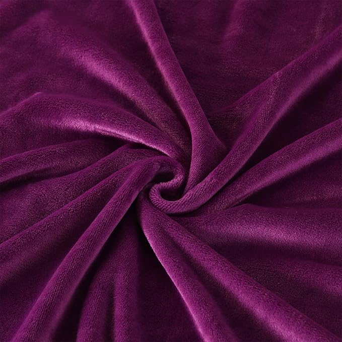 TASTHROW Purple Throw Blanket 50x60 Inches, Soft Plush Cozy Fleece Flannel Throw Blanket, Lightweight Warm Throws for Bed, Couch, Bedroom and Living Room, All Seasons