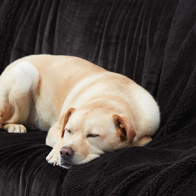 Genteele Sherpa Throw Blanket Super Soft Reversible Ultra Luxurious Plush Blanket, 40 x 50 inches, Black/Black