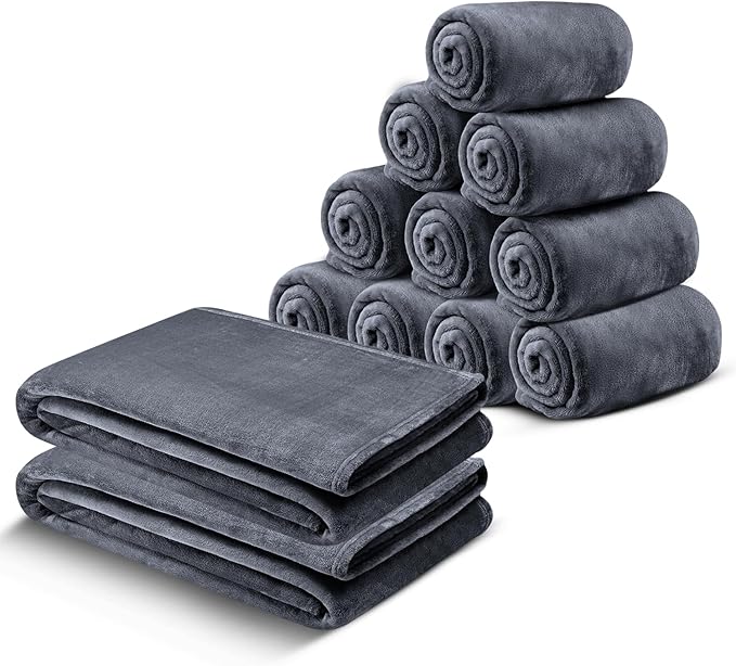 IR Imperial Rooms Fleece Blanket 12 Pack Twin Size 60x80 Inches - Super Soft Fluffy Throw Blanket for Sofa and Bed - Warm and Cozy Lightweight 400 GSM Microfiber Bed Throws Blankets (Twin, Grey)