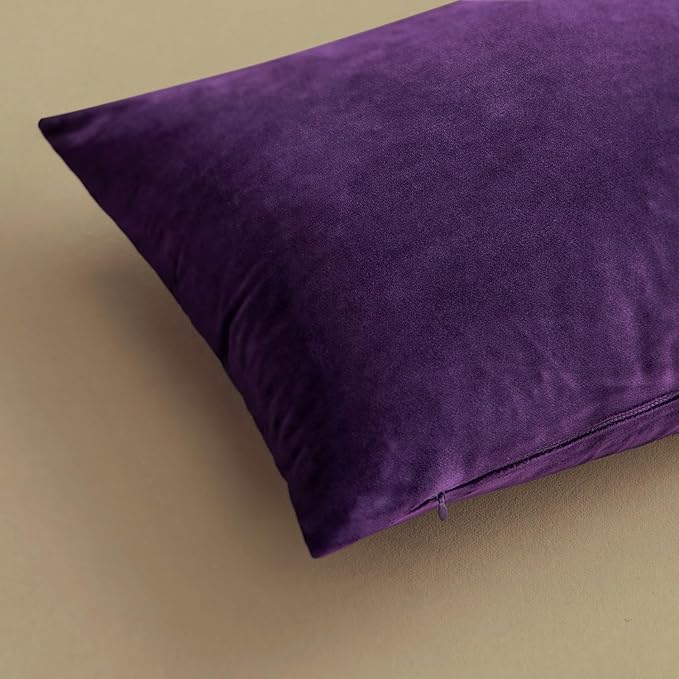 MIULEE Velvet Throw Pillow Covers 26x26 Inch, Pack of 2 - Eggplant Purple,Super Soft Decorative Square Euro Cushion Cases Modern Luxury Spring Home Decor for Bed,Bedroom, Sofa,Couch