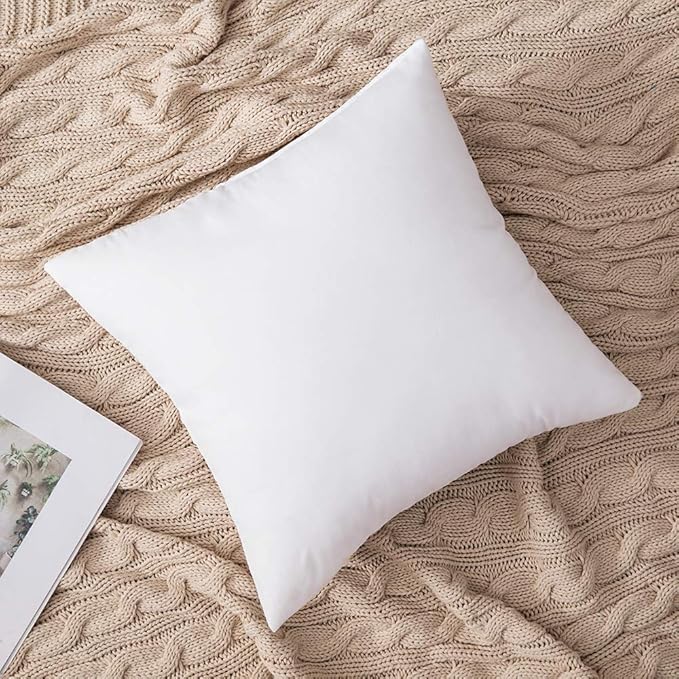 MIULEE Set of 2 Throw Pillow Inserts Premium Pillow Stuffer Square Form for Decorative Cushion Bed Couch Sofa 16x16 Inch