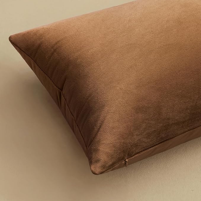 MIULEE Velvet Throw Pillow Covers 20x20 Inch, Pack of 2 - Chocolate, Super Soft Decorative Square Cushion Cases Modern Luxury Home Decor for Sofa,Couch,Bed,Chair