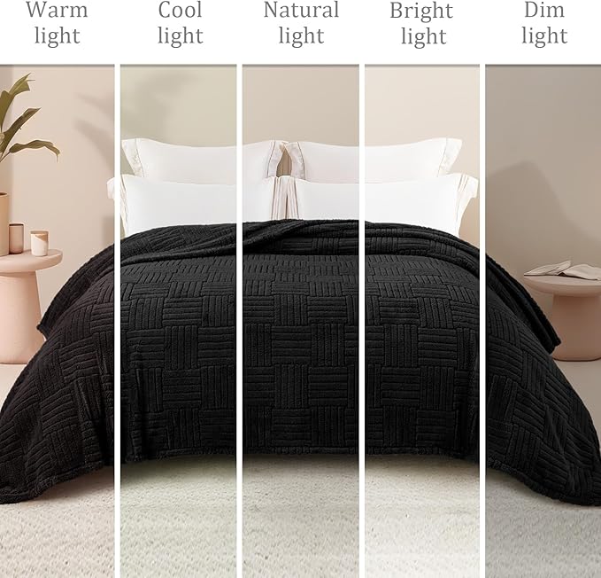 Whale Flotilla Lightweight Fleece Queen Size Blanket for Bed, Fuzzy Soft Blankets with Decorative Jacquard Pattern for All Season, Warm and Fluffy, 90x90 Inch, Black