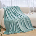 Twin Blanket for Bed, Flannel Fleece Blankets Warm Plush Cozy Blankets for Women, Fuzzy Soft Blanket for Sofa, Couch, Travel, Camping, 60" X 80", Sage Green