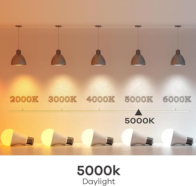 Linkind A19 LED Light Bulb, 100W Equivalent Light Bulbs, 14W 5000K Daylight, 1600 Lumens Non-Dimmable LED Bulb, E26 Standard Base, Energy Efficient UL Listed, 12-Pack