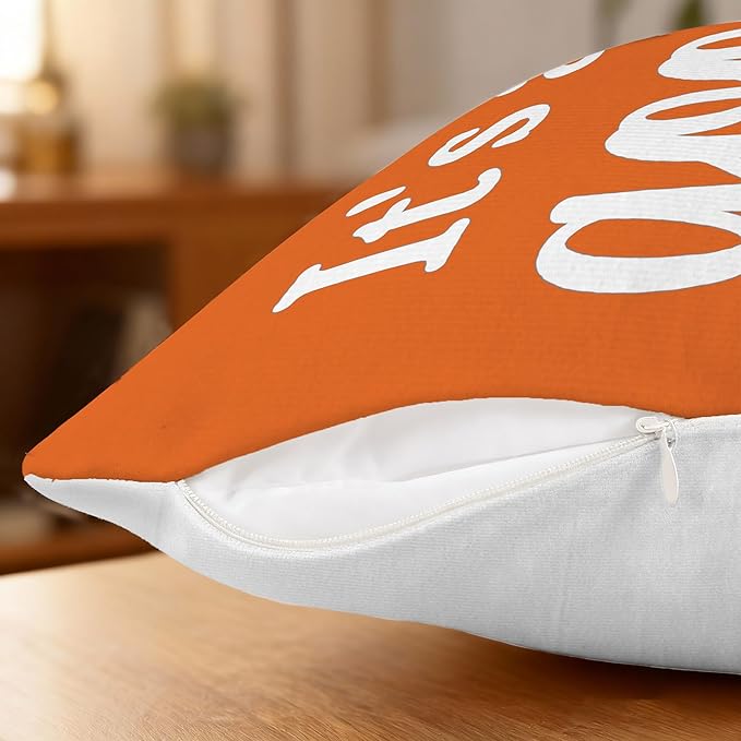 Hexagram Spring Summer Pillow Covers 18x18 Set of 4, Outdoor Floral Daisy Decorative Orange Throw Pillow Covers, You are My Sunshine Farmhouse Cushion Case for Couch Sofa Indoor Home Decor(No Insert)