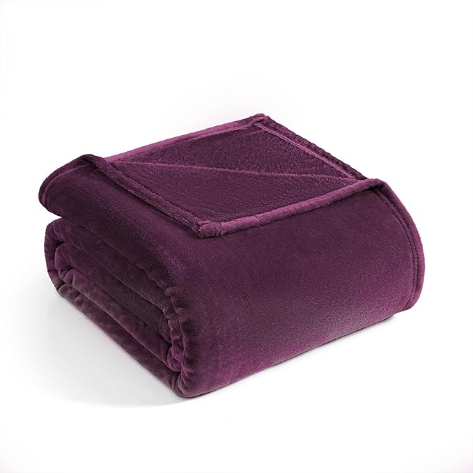 Casa Platino Fleece Blanket Queen Size – 300 GSM Purple Fleece Throw for Bed or Couch – Soft Cozy Warm Holiday Winter Blanket for Bed, Fuzzy Plush Elegant Gifts for Men & Women - 90x90 Inch
