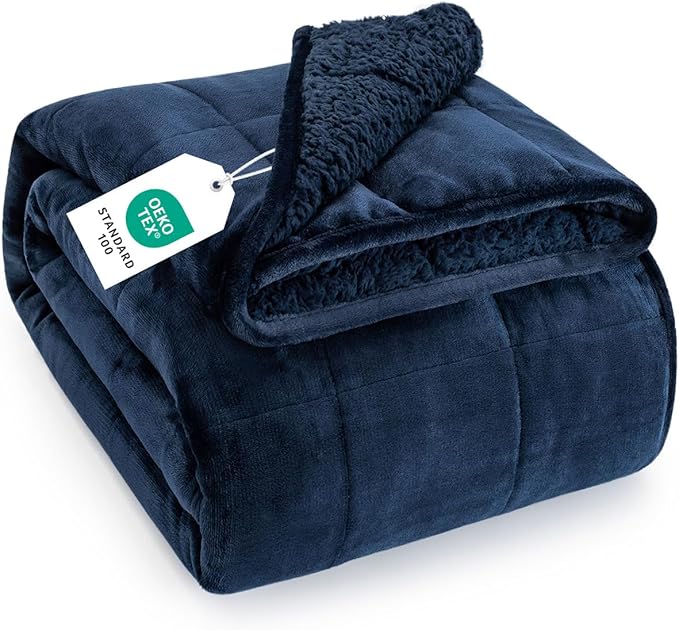 Topblan Sherpa Fleece Weighted Blanket for Adult, 20 lbs Dual Sided Cozy Fluffy Heavy Blanket, Ultra Fuzzy Throw Blanket with Soft Plush Flannel Top, 60 x 80 inches