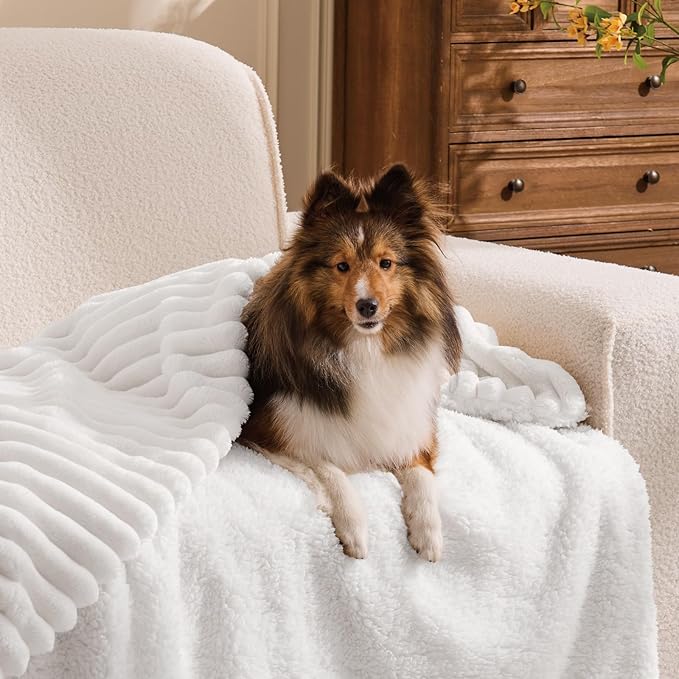 INFIIXSO Sherpa Throw Blanket for Couch - Super Soft & Warm Striped Fleece Blanket, Cozy Plush Fluffy Blanket All Season Use (Off White, 50x60 Inches)