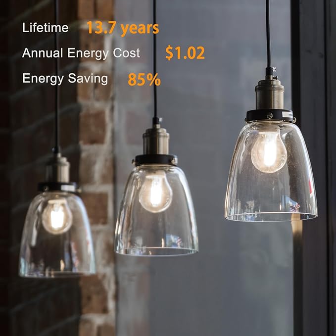 TJOY 12 Pack A19 Vintage LED Edison Bulbs, Dimmable, 60W Equivalent, High Brightness 5000K Daylight, Ultra-Bright, 8W E26 Standard Base, 800 Lumens, CRI80+, Clear Glass Filament Bulb for Home