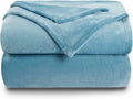 NANPIPER Fleece Blankets Super Soft Flannel Queen Size Blanket for Bed Luxury Cozy Microfiber Plush Fuzzy Blanket,Light Blue