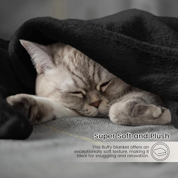 Ultra Soft Fleece Blankets Queen Size, Flannel Fleece Blanket Warm Plush Cozy Blankets for Bed, Fuzzy Soft Blanket for Sofa, Couch, Travel, Camping, 90" X 90", Black