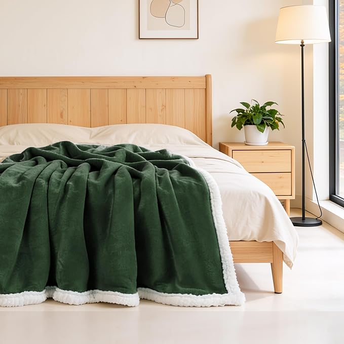 BEAUTEX Sherpa Fleece Throw Blankets, Soft Fluffy Flannel Plush Blanket and Throw, Fuzzy Cozy Green Cuddle Blankets for Couch Bed Sofa Adults (50" x 60", SageGreen)