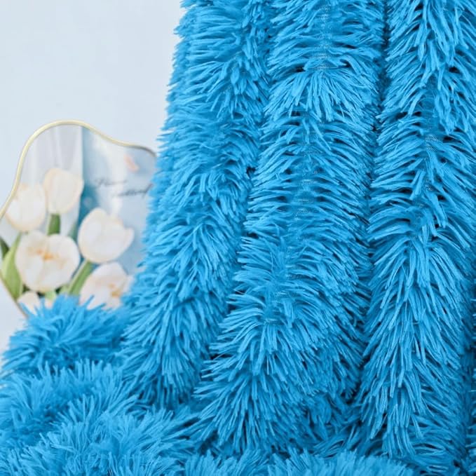 Plush Super Soft Blanket Bedding Sofa Cover Furry Fuzzy Fur Warm Throw Qulit Cozy Couch Blanket for Winter (51x63 Inches, Throw, Sky Blue)