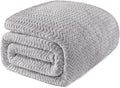 Exclusivo Mezcla Twin Blanket for Bed, Cozy Lightweight Fleece Blankets for All Season, Decorative Giftable Fuzzy Plush Wave Textured Suitable for Women, Men, Light Grey, 90x66 Inches
