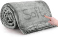 IR Imperial Rooms Fleece Blanket King Size – Soft 400 GSM Plush Microfiber Light Grey King Size Blanket, Warm Lightweight King Blanket for The Bed, 108x90 Inches, Silver
