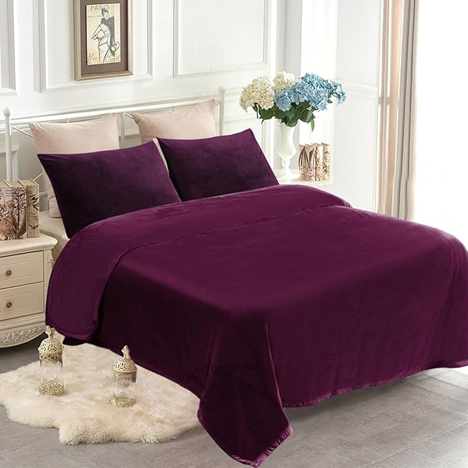 JYK Fleece Plush Bed Blanket Queen Size 79'' x 91'' - Premium Silky Flannel Fleece Blanket 3.5 LB, Lightweight and Fluffy Cozy Plush Comfy Microfiber Fleece Blankets for Couch Sofa Bedroom, Purple