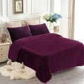 JYK Fleece Plush Bed Blanket Queen Size 79'' x 91'' - Premium Silky Flannel Fleece Blanket 3.5 LB, Lightweight and Fluffy Cozy Plush Comfy Microfiber Fleece Blankets for Couch Sofa Bedroom, Purple