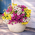 Artificial Flowers for Outdoor, 18 Bundles UV Resistant Faux Silk Pansy Flowers with Butterfly Accents, Realistic Fake Plants for Planters, Window Boxes & Grave Decor, 15 Bundles + 3 Butterflies
