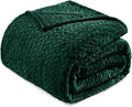 Exclusivo Mezcla Fleece Twin Size Blanket for Bed, 60x80 Inches Soft Cozy Jacquard Flannel Blankets, Lightweight Fuzzy Plush Warm for Women, Forest Green