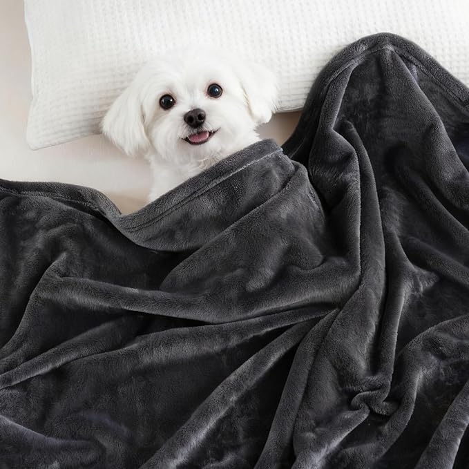 Fleece Blanket Queen Size, Silky Flannel Fuzzy Blankets for All Season, Cozy Lightweight Blanket for Couch, Bed, Sofa, 90" x 90", Gray, Queen