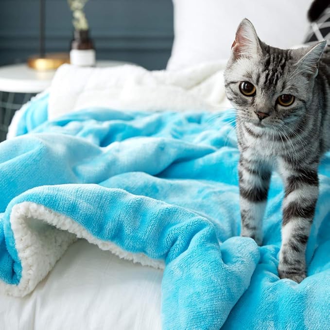 LBRO2M Sherpa Fleece Bed Blanket Queen Size Super Soft Fuzzy Plush Warm Cozy Fluffy Microfiber Couch Throw Velvet Double Reversible Luxurious Blankets,(90x90 Teal)