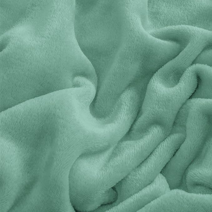 BEDELITE Flannel Sheets Queen Size Haze Blue - Super Soft Fleece Sheets Set Fluffy Extra Plush, 4 Piece(Include Fitted Sheet, Flat Sheet, 2 Pillowcases)