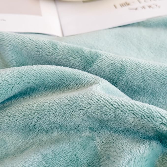 Ultra Soft Fleece Throw Blanket, Silky Flannel Fuzzy Blanket for All Season, Cozy Lightweight Blanket for Couch, Bed, Sofa, 50" x 60", Sage Green, Throw