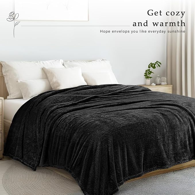 Exclusivo Mezcla Queen Size Blanket for Bed, Super Soft Velvet Plush Fleece Blankets, Fuzzy Cozy and Warm for Winter, 90x90 Inches, Black