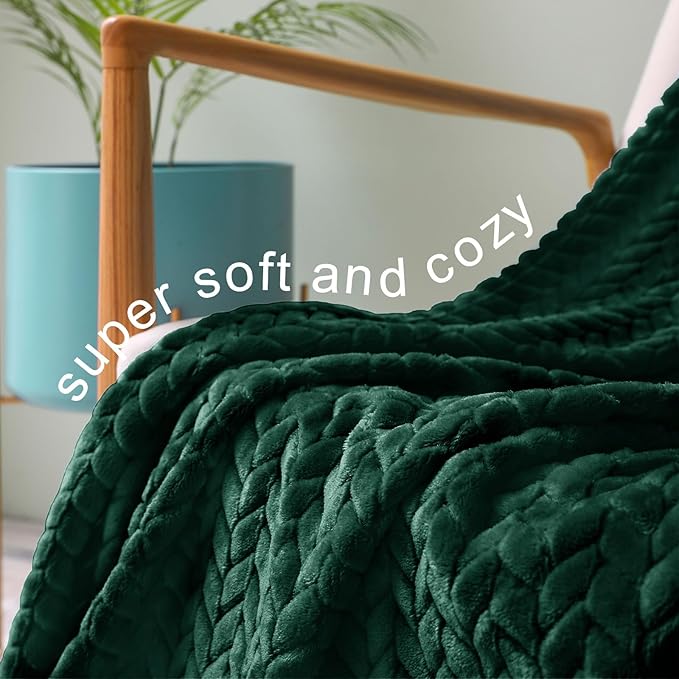 Exclusivo Mezcla Fleece Queen Size Blanket for Bed, 90x90 Inches Soft Cozy Jacquard Flannel Blankets, Lightweight Fuzzy Plush Warm for Women, Forest Green