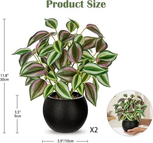2 Packs Artificial Plants in Black Pot Tradescantia Zebrina Fake Plants Potted Decorative Faux Plant for Home Kitchen Decor