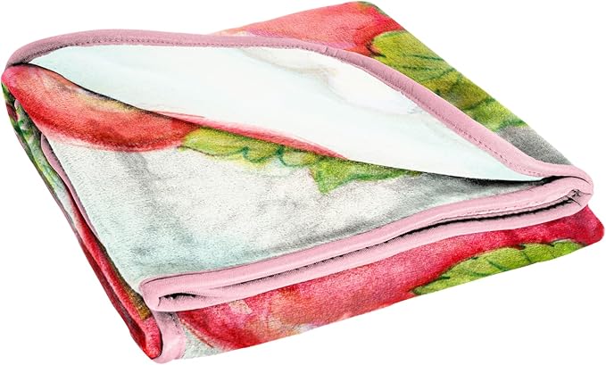 Jay Franco Kids Plush Throw Blanket – Soft & Comfy Throw for Couch or Bed – Cozy Home Décor for Living Room & Bedroom, Multi - Strawberry Shortcake, 40x50 - Travel Blanket