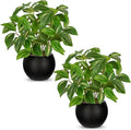 2 Packs Artificial Plants in Black Pot Tradescantia Zebrina Fake Plants Potted Decorative Faux Plant for Home Kitchen Decor