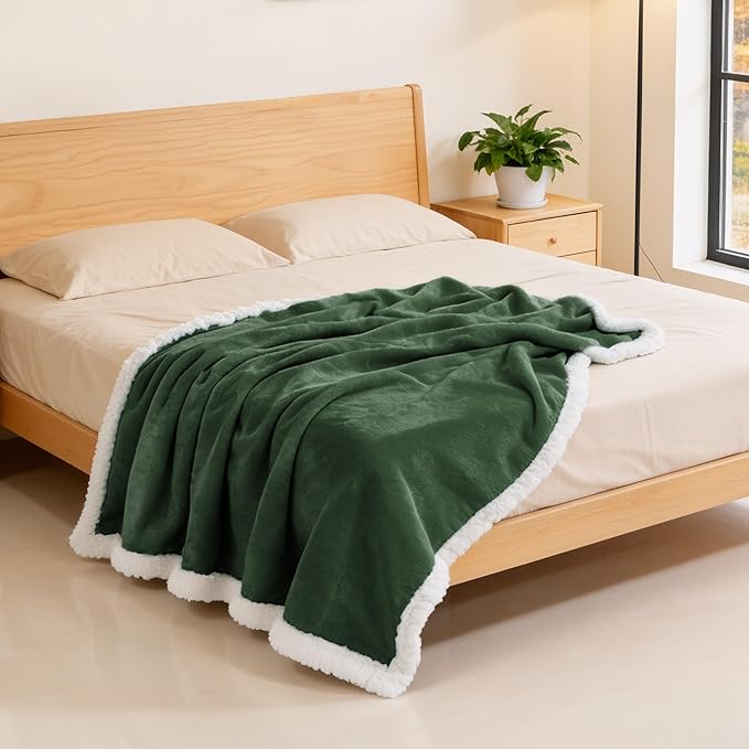 BEAUTEX Sherpa Fleece Throw Blankets, Soft Fluffy Flannel Plush Blanket and Throw, Fuzzy Cozy Green Cuddle Blankets for Couch Bed Sofa Adults (50" x 60", SageGreen)