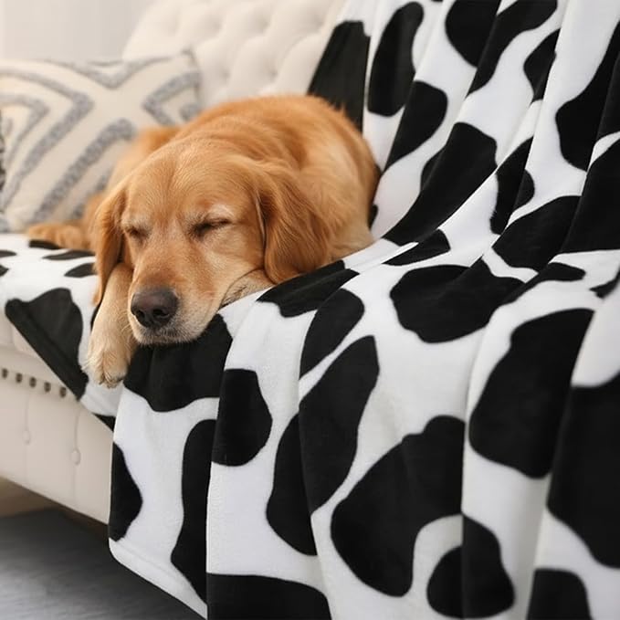 MACEVIA Flannel Fleece Cute Blanket for Couch, Black Cow Print Blankets, Fuzzy Cozy Comfy Super Soft Fluffy Plush Cute Cow Blanket for Bed Sofa 260GSM, Suitable for All Seasons (Dairy Cow,40x50inches)