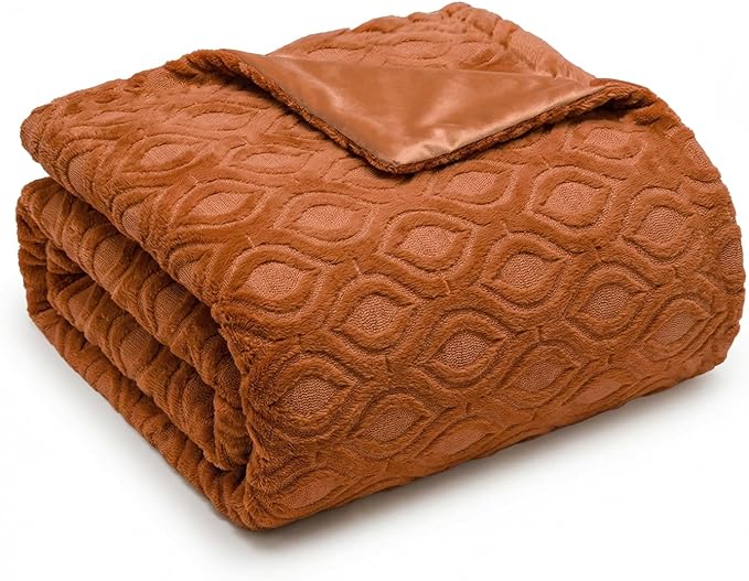 Horaldaily Solid Blanket Throw, Rust Accent Farmhouse Neutral Square Euro Soft Fuzzy Plush Faux Fur Cozy Blankets for Couch Sofa Bed Lounging, Ideal Gifts for Kids Adults Wife Self, 50x60