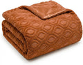Horaldaily Solid Blanket Throw, Rust Accent Farmhouse Neutral Square Euro Soft Fuzzy Plush Faux Fur Cozy Blankets for Couch Sofa Bed Lounging, Ideal Gifts for Kids Adults Wife Self, 50x60