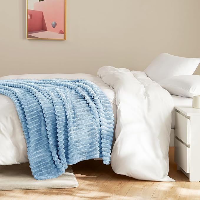 Soft Light Blue Throw Blanket for Couch - 300GSM Cozy Fleece Blanket for Men Women, Fluffy Lightweight Blankets Birthday Gifts for Her Him, Spring Home Room Decor, Light Blue, 50x60 Inches