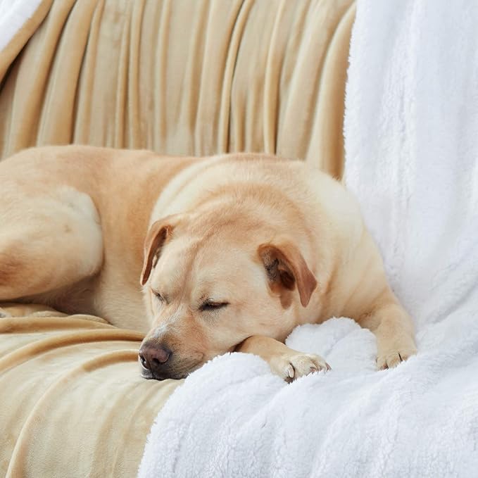 Genteele Sherpa Throw Blanket Super Soft Reversible Ultra Luxurious Plush Blanket, 50 x 60 inches, Camel/White