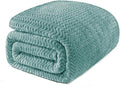 Exclusivo Mezcla Twin Blanket for Bed, Cozy Lightweight Fleece Blankets for All Season, Decorative Giftable Fuzzy Plush Wave Textured Suitable for Women, Men, Celadon, 90x66 Inches