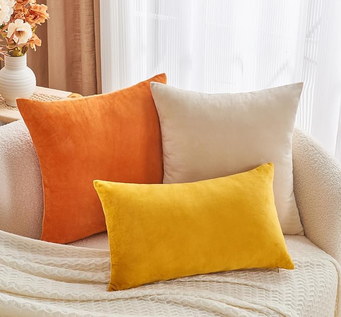 Throw Pillow Covers Burnt Orange Set of 2 20x20 Inch Fall Pillow Covers, Soft Velvet Farmhouse Neutral Decorative Pillowcases for Couch Sofa Bed, Home Boho Decor, Modern Cushion Covers