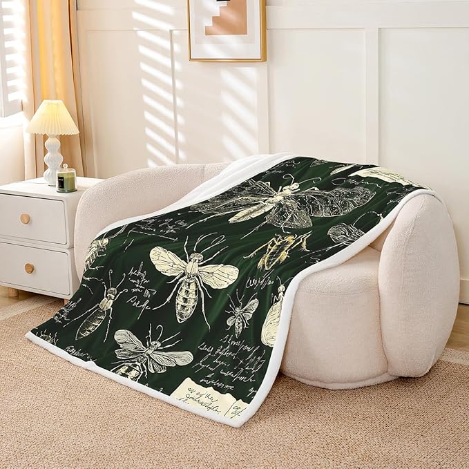 Biology Chalk Blackboard Blanket Throw Twin 60"x80" Insects Hand Written School Classroom Sherpa Blanket Dragonfly Beetle Moth Educational Theme Fuzzy Blanket For Kids Boys Girls Teens Bed Décor